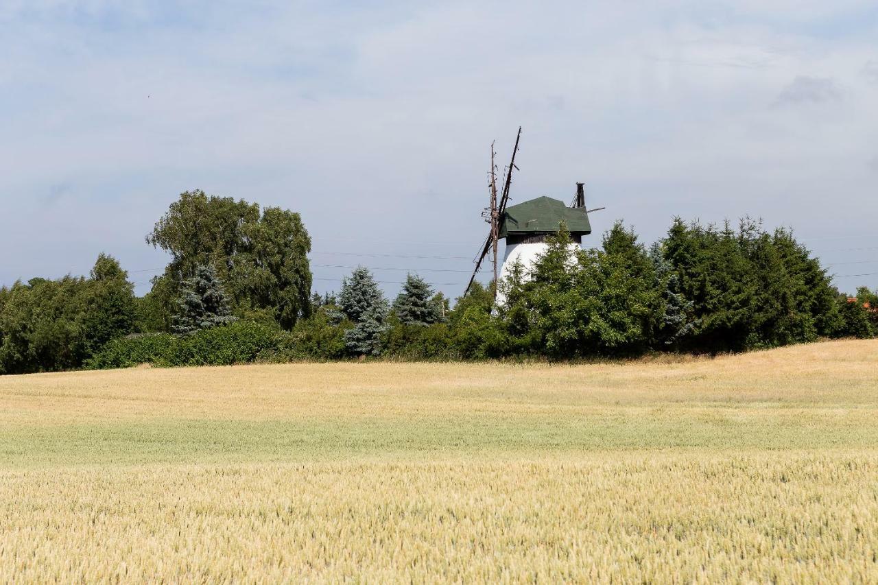 Windmill Vacation Home In Ledzin Near Baltic Sea Niechorze Kültér fotó