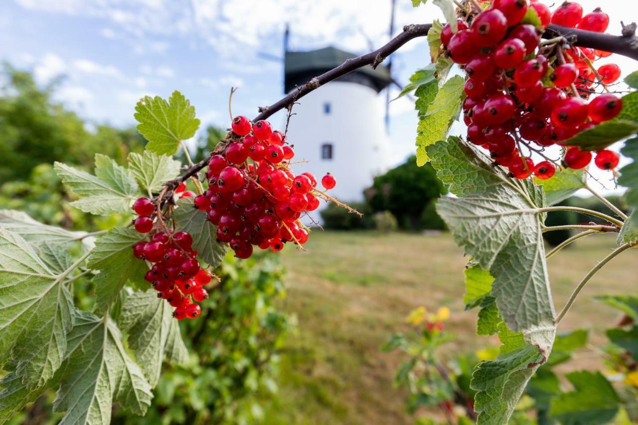 Windmill Vacation Home In Ledzin Near Baltic Sea Niechorze Kültér fotó