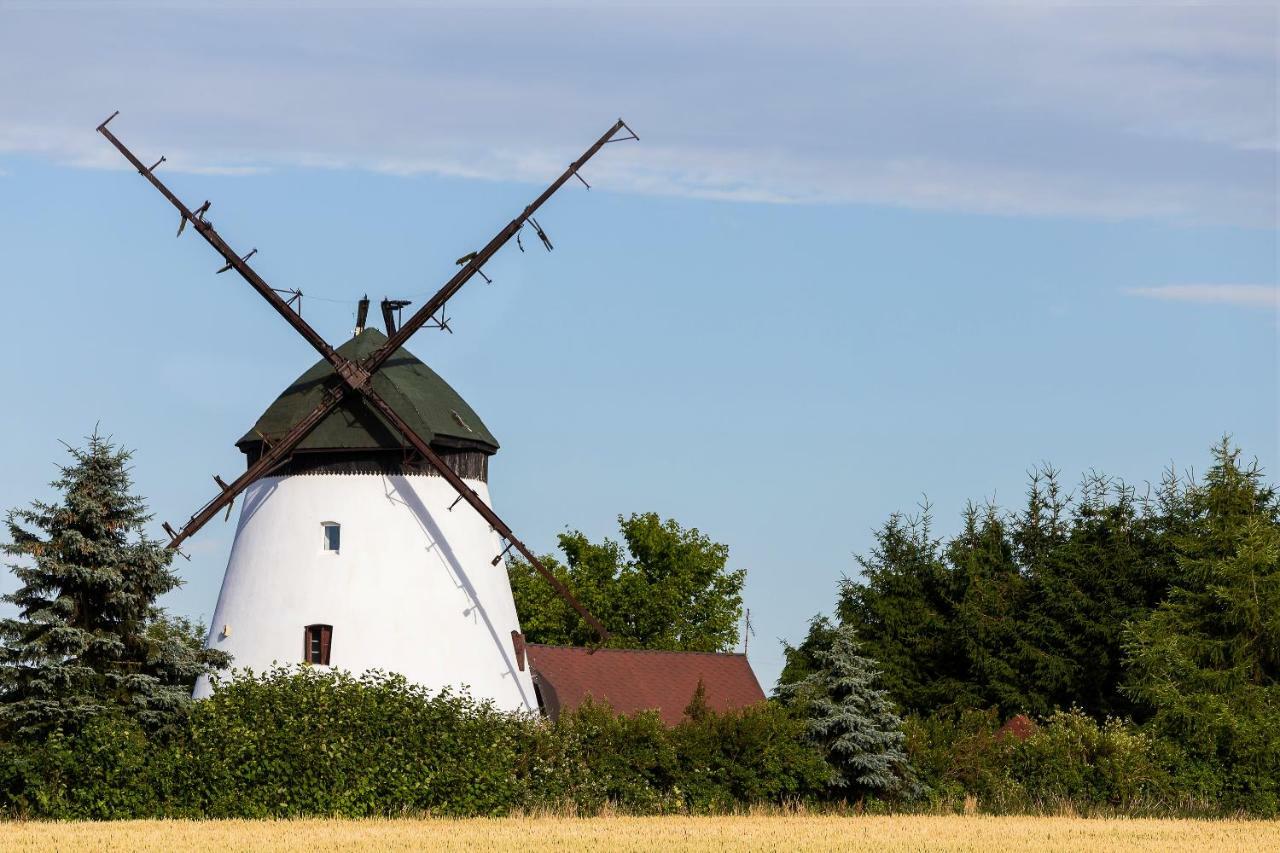 Windmill Vacation Home In Ledzin Near Baltic Sea Niechorze Kültér fotó
